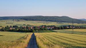 eine Straße mitten auf einem Feld in der Unterkunft Ferienwohnung Despetal in Despetal
