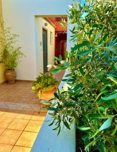 a hallway with potted plants in a house at Niriides in Kyparissia