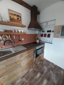 - une cuisine avec des placards en bois, un évier et une cuisinière dans l'établissement Studio apartman T and T, à Ražanac