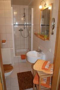 uma casa de banho com um chuveiro, um lavatório e um WC. em Zum Froschkönig em Ahrenshoop