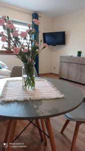 Telewizja i/lub zestaw kina domowego w obiekcie Dębowy Apartamenty/Pokoje