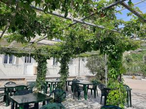 Gallery image of Rexhos Studios in Himare