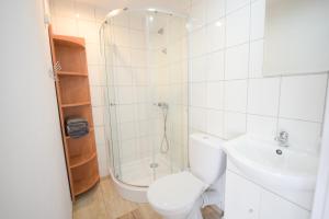 a bathroom with a shower and a toilet and a sink at Bieszczady Smolnik Cottage 2 in Smolnik