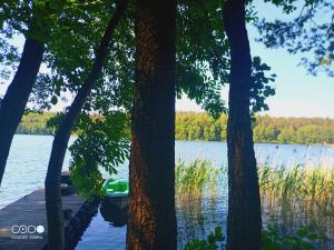 Gallery image of Sosnowy Raj - domki na Mazurach in Maradki +41 photos