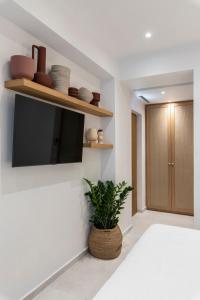 a room with a tv and a plant on a wall at Nōema Premium Stay in Neos Marmaras