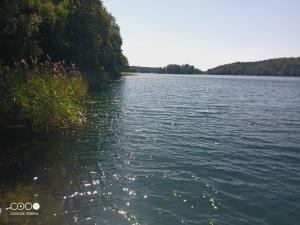 Gallery image of Sosnowy Raj - domki na Mazurach in Maradki