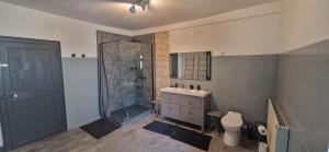 a bathroom with a shower and a sink and a toilet at Chambre dans maison de ville - 2 Personnes in Oloron-Sainte-Marie +20 photos