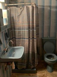 uma casa de banho com um lavatório, um WC e uma cortina de chuveiro. em Apartment near the Beach Paradise Mikra Mantinia em Arkondikó