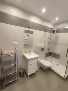 a bathroom with a toilet and a sink and a shower at Apartament Posejdon in Sztutowo