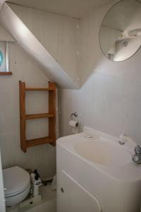 La salle de bains est pourvue d'un lavabo, de toilettes et d'un miroir. dans l'établissement Bateau SCOPA, à Rouen