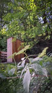 Ein Garten an der Unterkunft Na seně