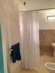 a bathroom with a shower curtain and a toilet at Dabakhnebi in Telavi