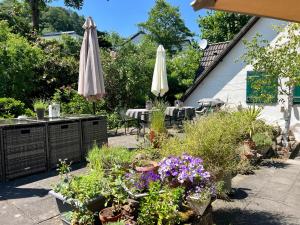 Zahrada ubytování Apartment Ahrquelle im Posthalterhof mit Sauna
