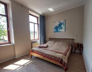 een slaapkamer met een bed en 2 ramen bij Schöne Wohnung in Dresden - Neustadt in Dresden