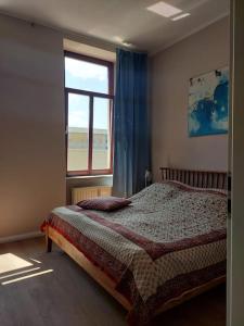 德勒斯登的住宿－Schöne Wohnung in Dresden - Neustadt，一间卧室设有一张床和一个窗口