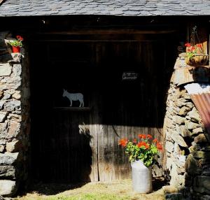 a cat sitting on a window in a barn at Yourte Immersion Nature in Saint-Étienne-de-Chomeil