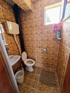 y baño con aseo y lavamanos. en Villa Stone Tree - Ljubanista, en Ohrid