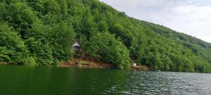 a house sitting on the side of a lake at Vikend kuća Zlatarski DAR in Nova Varoš