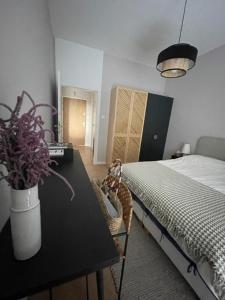 1 dormitorio con cama y mesa con maceta en APARTAMENT OVOC GDYNIA NOWE KOLIBKI en Gdynia