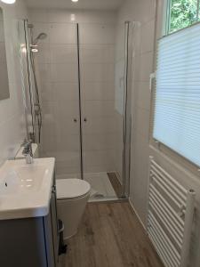 a bathroom with a shower and a toilet and a sink at Ruhiges Ferienhaus mit Sauna: Hellaberg III in Langenbach