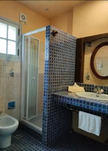 a bathroom with a shower and a sink and a toilet at Villa Les Chariotins in Draguignan