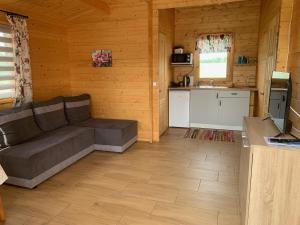ein Wohnzimmer mit einem Sofa und einer Küche in der Unterkunft ZIELONA DOLINA - kompleks dla rodzin z dziećmi in Mikołajki
