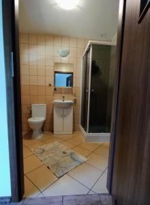 a bathroom with a toilet and a shower and a sink at Agroturystyka Osieki in Osieki