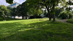 Fotografia z galérie ubytovania Apartamento Mestre Mateo v destinácii Santiago de Compostela