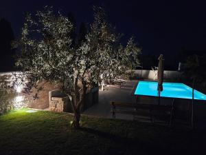 Bazén v ubytování Apartmani Gržinić nebo v jeho okolí