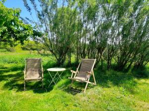 2 Stühle und ein Tisch im Gras in der Unterkunft Brīvdienu māja Ievkalni in Jūrkalne