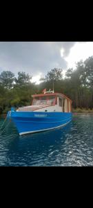 a blue and white boat on a body of water at Yakamoz A in Marmaris