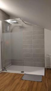 a shower with a glass door in a room at Grand gîte au cœur des Pyrénées - Ariège Mijanes in Mijanès