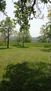 a field of grass with trees in the distance at Oaza Miłości in Lipniki