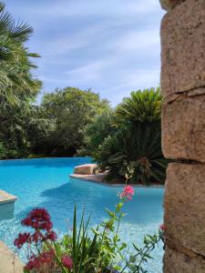 a swimming pool with blue water and plants at Villa A CASA DI FICU proche d'Ajaccio avec piscine et jacuzzi in Peri