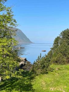 a view of a large body of water with trees at Leilighet ved sjøkanten in Langevåg