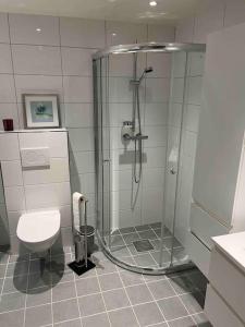 a bathroom with a shower and a toilet at Leilighet ved sjøkanten in Langevåg