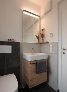a bathroom with a sink and a toilet and a mirror at Casa Pina Campo Tures in Campo Tures