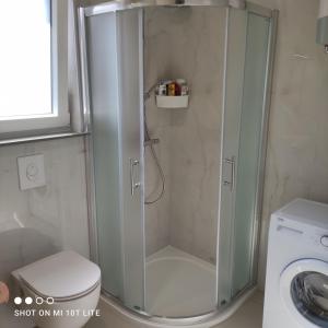 ducha con puerta de cristal junto a un aseo en Apartment T&T Žaborić en Zaboric