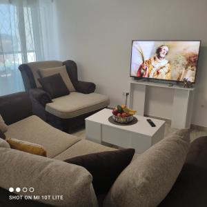 uma sala de estar com um sofá e uma televisão de ecrã plano em Apartment T&T Žaborić em Zaboric