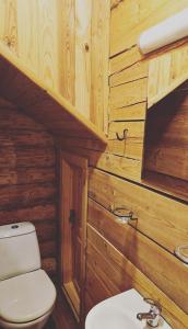 a bathroom with a toilet and a sink at Atpūtas komplekss Dridži in Krāslava