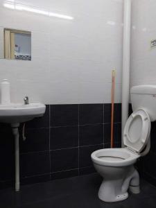 een badkamer met een toilet en een wastafel bij 3 rooms (aircond) in Muar Town in Muar