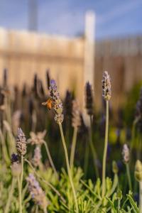 Gallery image of Refugio santa isabel in Colonia Chapadmalal +34 photos