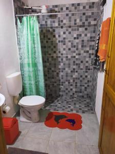 een badkamer met een douche, een toilet en een douchegordijn bij Departamentos Sato in Apóstoles