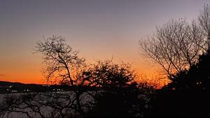 una puesta de sol con árboles en primer plano en Heritage Hideaway, en Oamaru