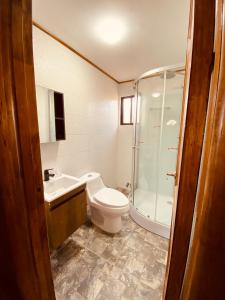 a bathroom with a shower and a toilet and a sink at Cabañas EMC in Los Vilos