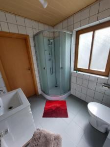 y baño con ducha acristalada y lavamanos. en Ferienhaus -Alte Feuerwehr- Mittelndorf, en Mittelndorf