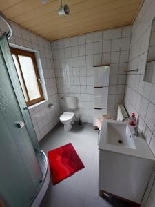ein Bad mit einer Dusche, einem Waschbecken und einem WC in der Unterkunft Ferienhaus -Alte Feuerwehr- Mittelndorf in Mittelndorf