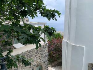 Zahrada ubytování Cloud House on Nisyros