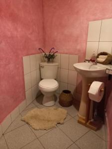 łazienka z toaletą i umywalką w obiekcie Biosfera Lodge tipi para 3 personas w mieście Oxapampa