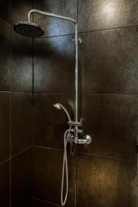 a shower with a shower head in a bathroom at Stylish Downtown Studio in Budapest +13 photos